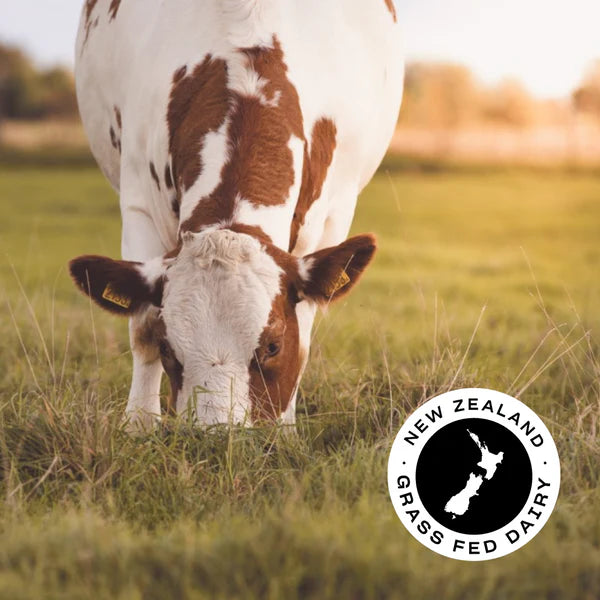 Load image into Gallery viewer, Pillar Performance Grass-Fed Whey Protein Isolate | 1 Kg
