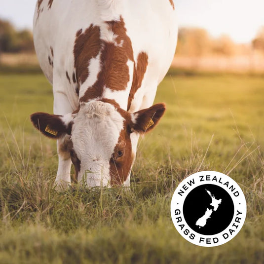 Pillar Performance Grass-Fed Whey Protein Isolate | 1 Kg